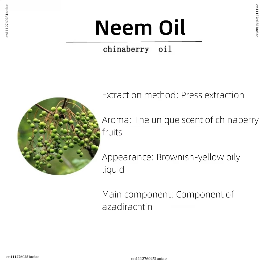 Organic Neem Oil - Spiritual I - Home Fragrance Organic recension och pris