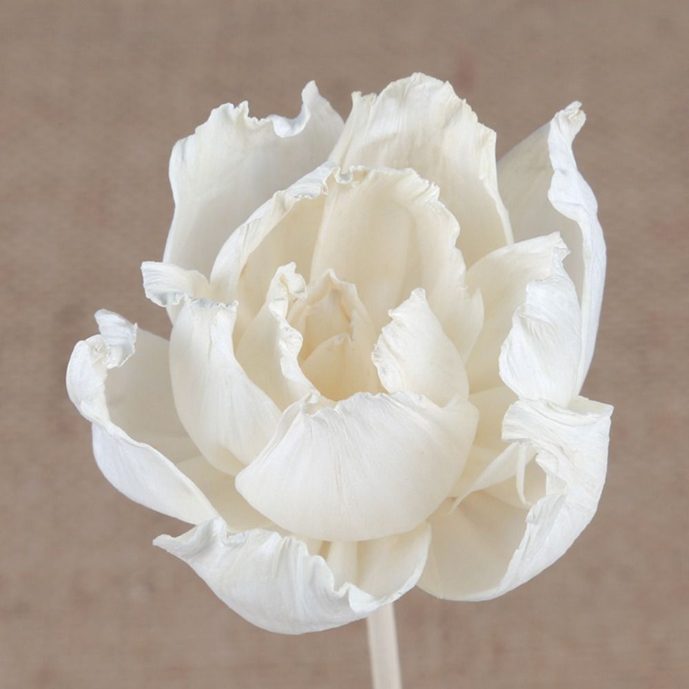 Multipurpose 5cm Natural Handm - Home Fragrance Stick recension och pris