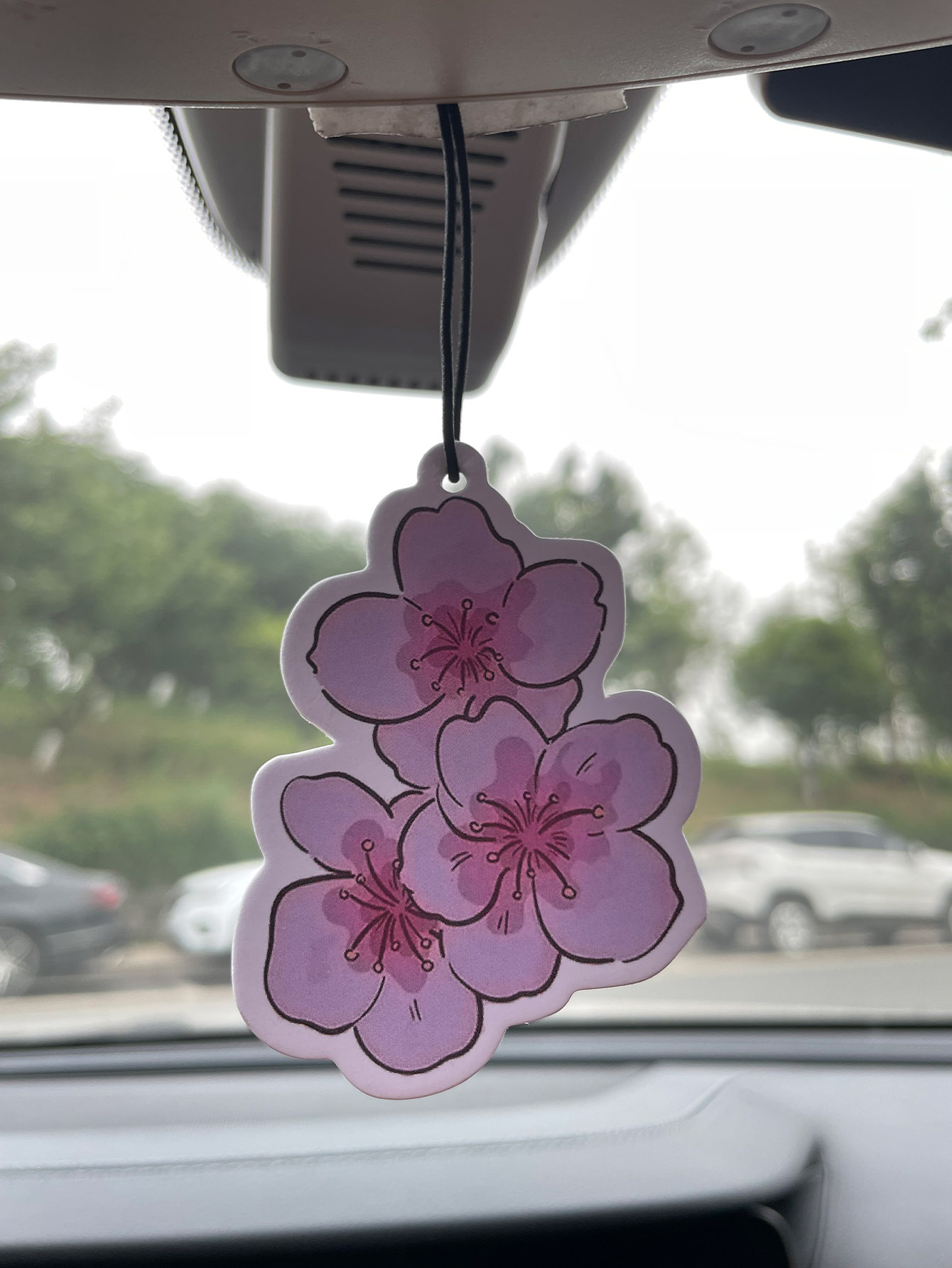 Sakura/Freesia Fresh Scent Fiv - Home Fragrance Types recension och pris