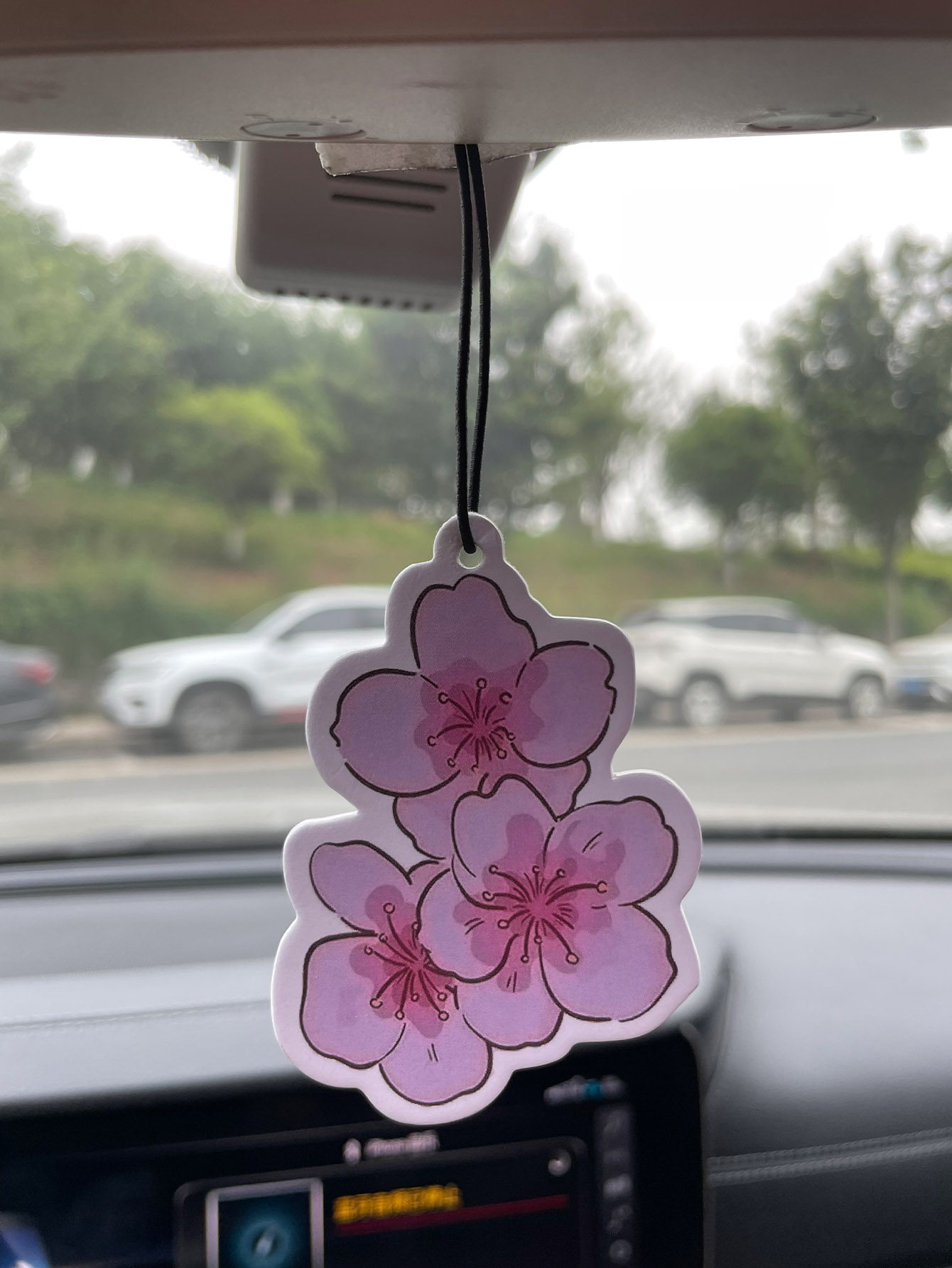 Sakura/Freesia Fresh Scent Fiv - Home Fragrance Types recension och pris