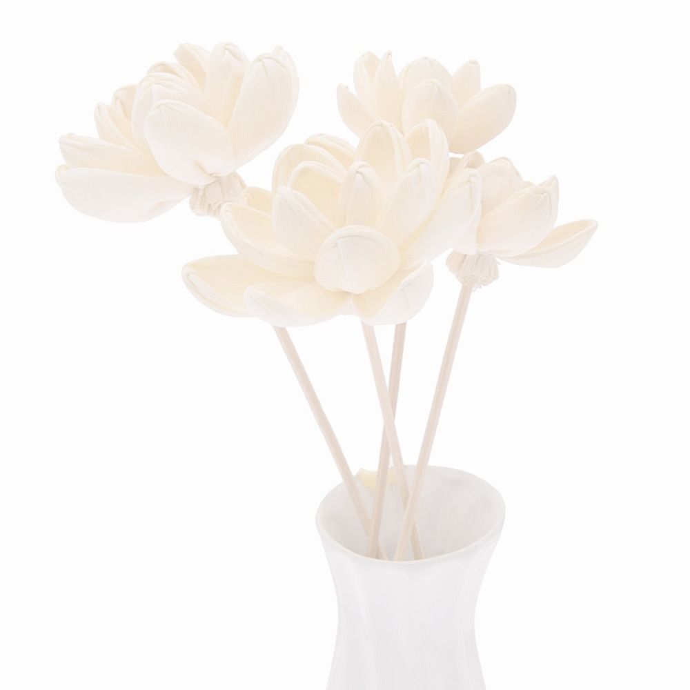 Expand Fragrance Flower For Ho - Home Fragrance Stick recension och pris