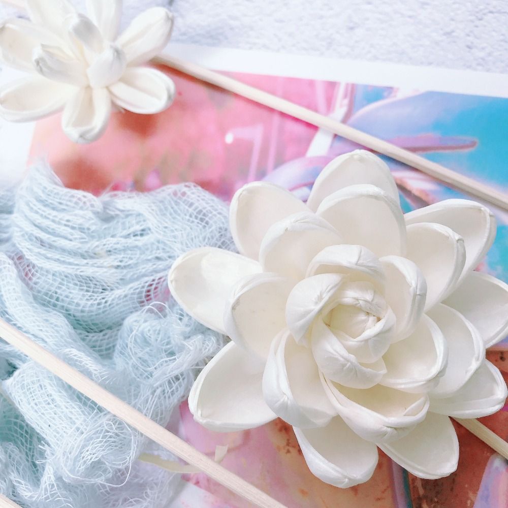 Expand Fragrance Flower For Ho - Home Fragrance Stick recension och pris